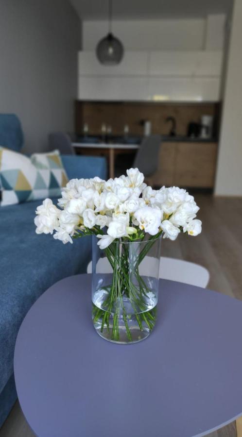 Kameleon Apartment